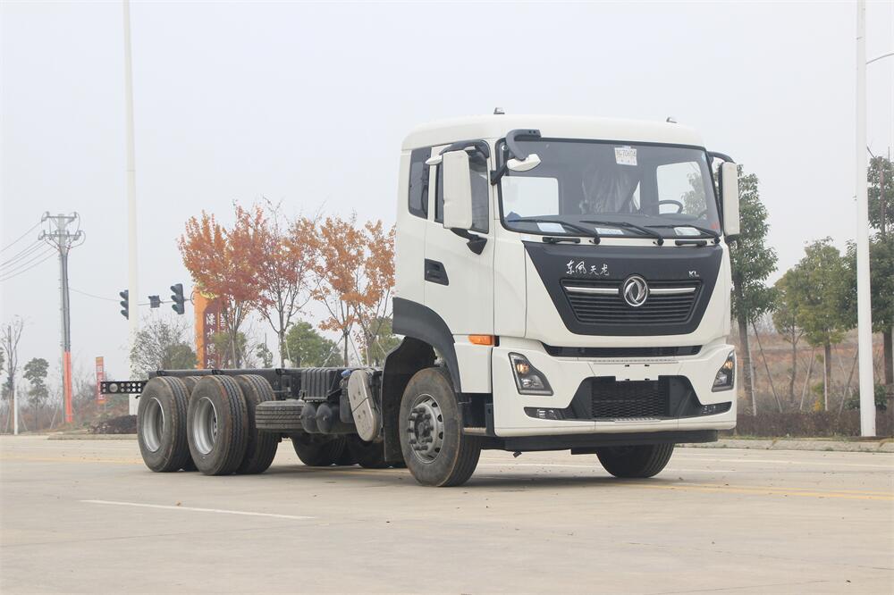 東風天龍 后雙橋 康明斯290   內飾照片圖