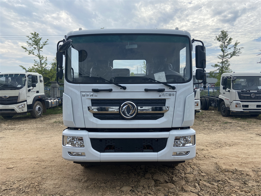 東風D9（3950，康明斯230）國六 內飾照片圖